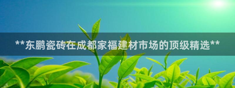 杏鑫平台登录地址