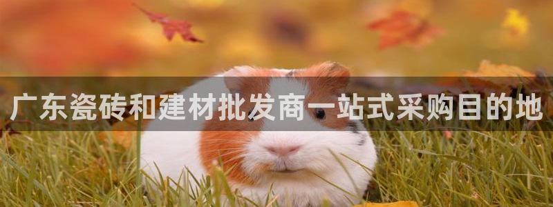 杏鑫平台列7O777