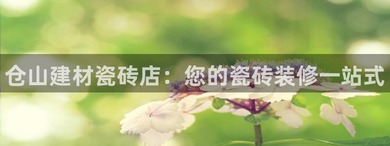 杏鑫代理注册资金多少