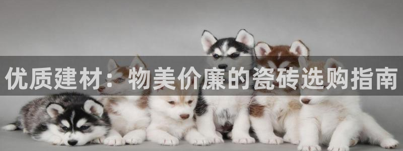 杏鑫平台怎么样黑钱吗知乎推荐