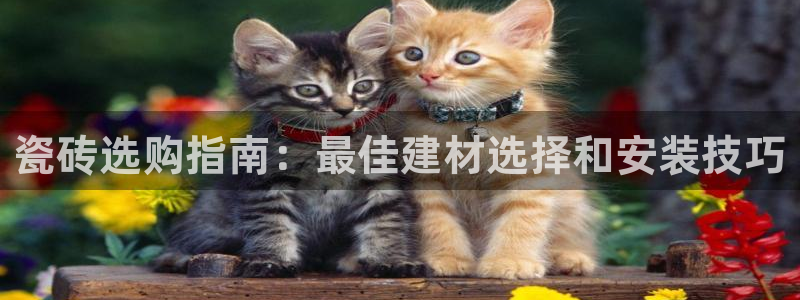 杏鑫娱乐靠谱吗