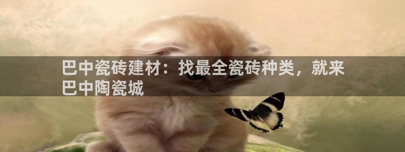 杏鑫平台正规吗可信吗