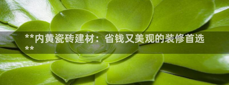 杏鑫娱乐怎么下