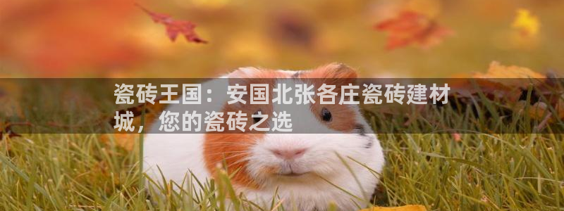 杏鑫平台测速
