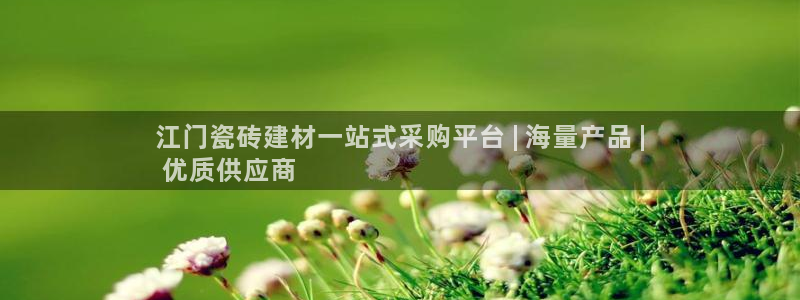 杏鑫代理注册平台