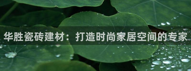 杏鑫平台招商怎么样啊