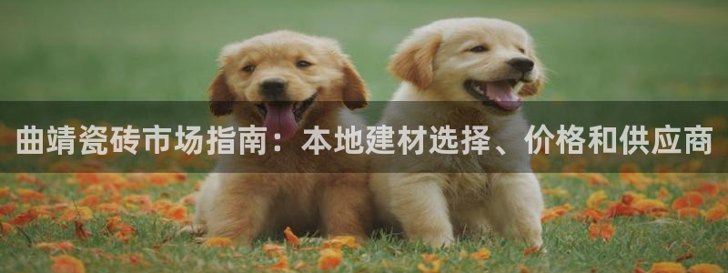 杏鑫有亏损返点吗
