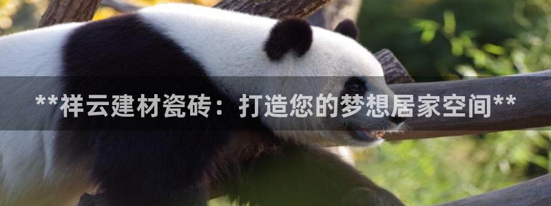 杏鑫平台代理怎么样啊