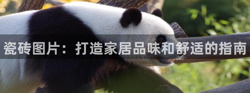 杏鑫平台代理注册流程