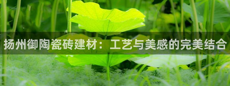杏鑫娱乐官网下载