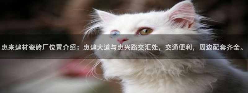 杏鑫官方平台怎么样啊可靠吗