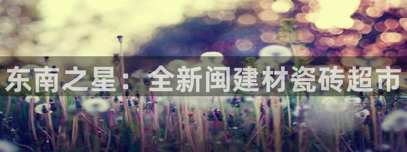 杏鑫平台代理怎么做