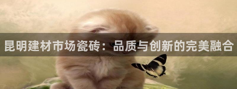 杏鑫平台代理怎么做