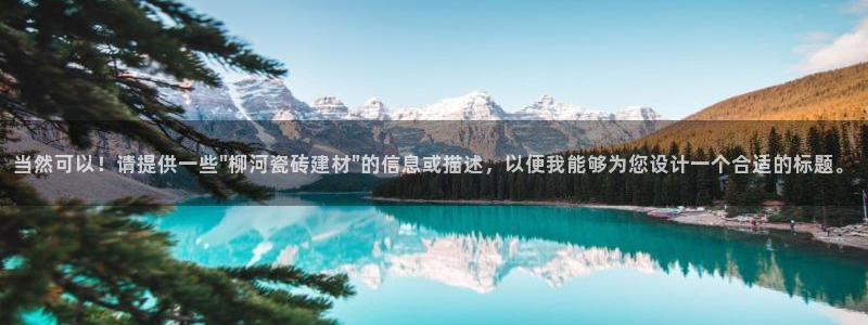 杏鑫招商总代
