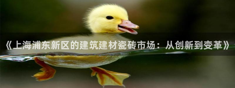 杏鑫平台是黑平台吗知乎