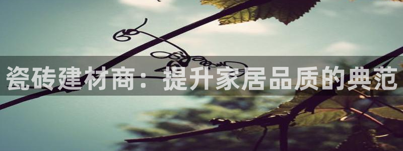 杏鑫代理注册资金多少