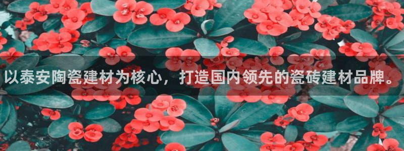 杏鑫官网注册账号密码是多少