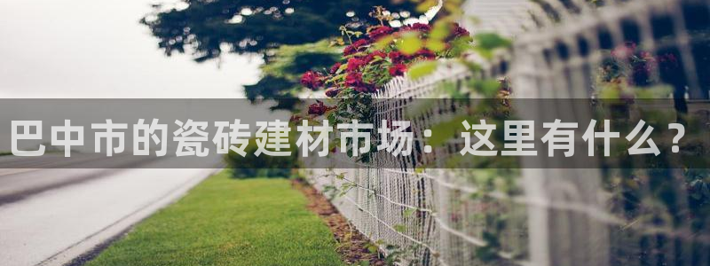 杏鑫娱乐怎么下