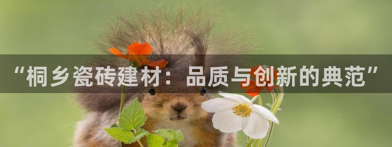 杏鑫娱乐-官方网站