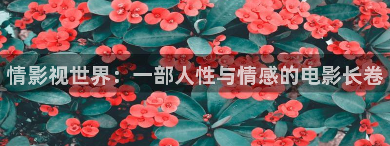 yy4480首播影院：情影视世界：一部人性与情感的电影长卷