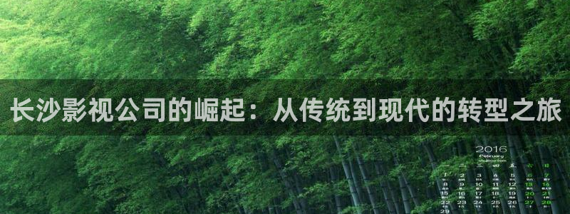 首播影院yy：长沙影视公司的崛起：从传统到现代的转型之旅