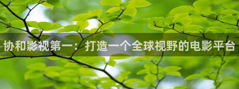 神马首播影院：协和影视第一：打造一个全球视野的电影平台