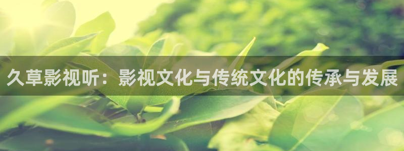 yy44首播影院：久草影视听：影视文化与传统文化的传承与发展