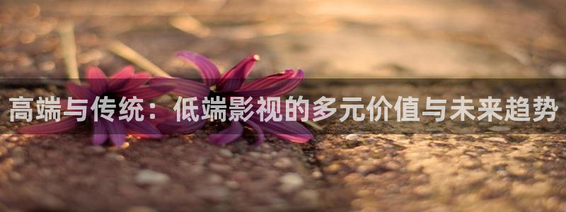 yy4480首播影院万达利：高端与传统：低端影视的多元价值与未来趋势