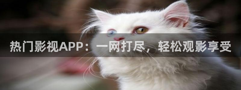 yy4408首播影院：热门影视APP：一网打尽，轻松观影享受