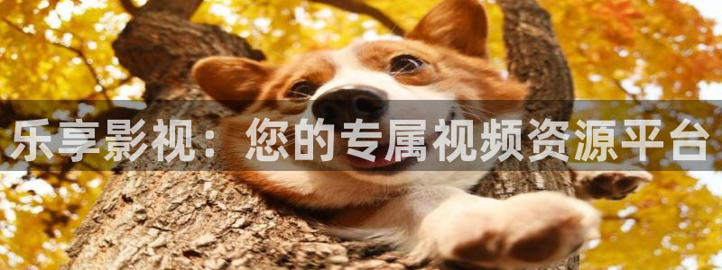 yy4480首播影院：乐享影视：您的专属视频资源平台