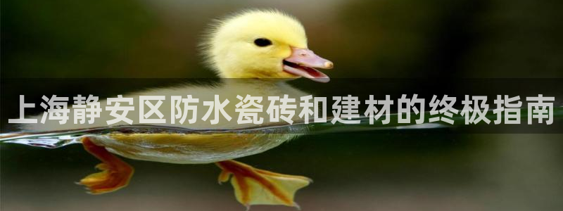 杏鑫平台注册入口在哪里找