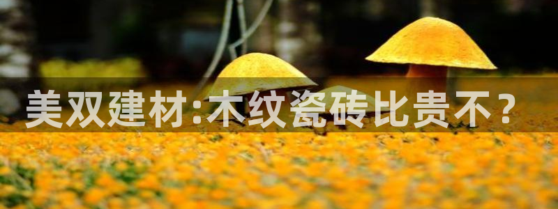 杏鑫平台念7O777