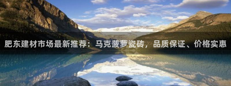 杏鑫有亏损返点吗