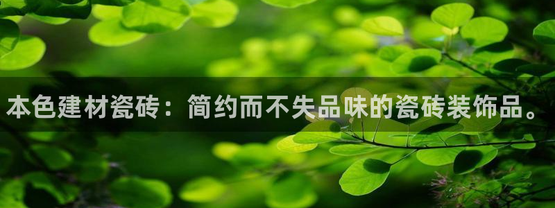 杏鑫平台登录地址