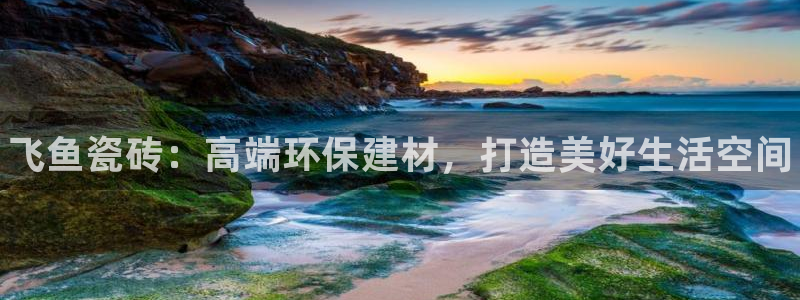 杏鑫官网注册账号是什么样的